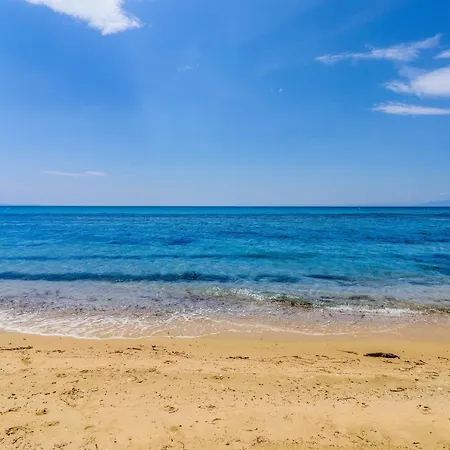 Calma Luxury #4 In Halkidiki