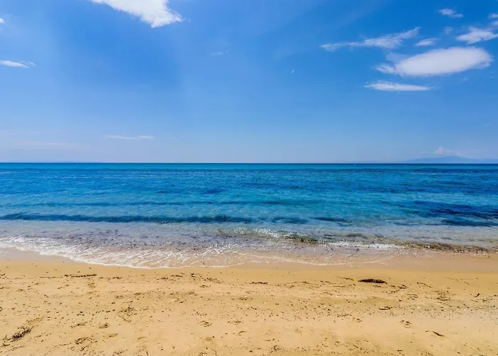 Calma Luxury #4 In Halkidiki